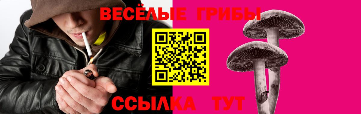 Псилоцибиновые грибы ЛСД  Псилоцибиновые грибы Cubensis  Гусь-Хрустальный  Вход с VPN 